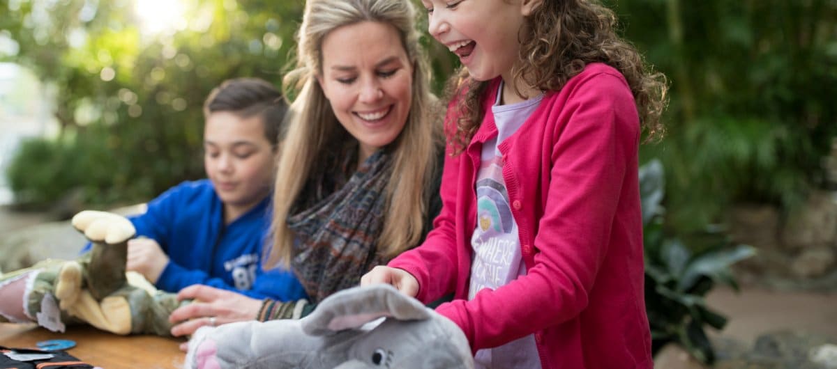 Kids Workshop: Make your own Stuffed Animal Center Parcs