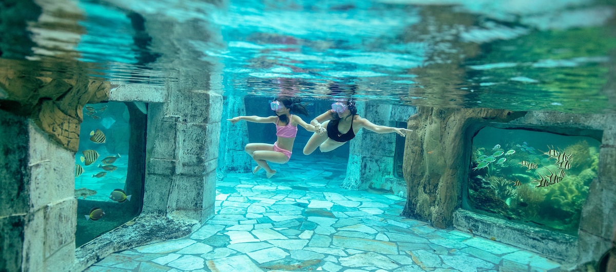 Piscine masque et tuba Center Parcs