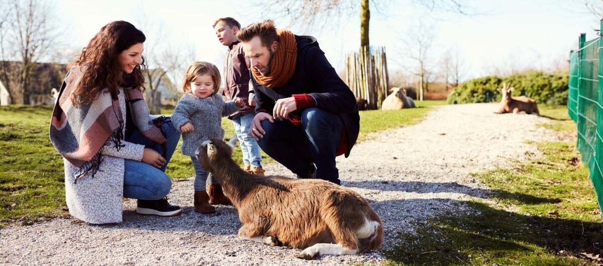 La ferme pour enfants Center Parcs