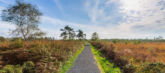 Parc national De Grote Peel