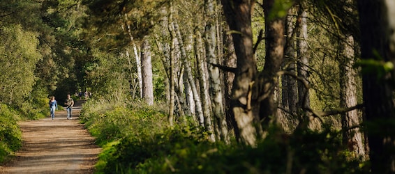 Bois de Schadijk