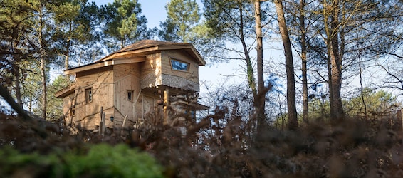  Treehouse 