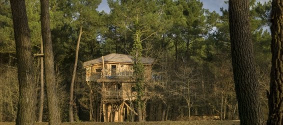  Treehouse 