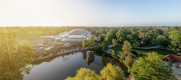 Erperheide