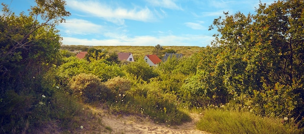 Park Zandvoort