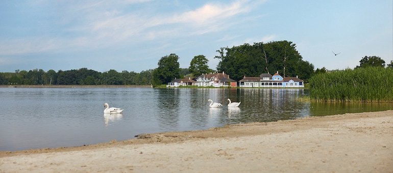  Le Lac d'Ailette