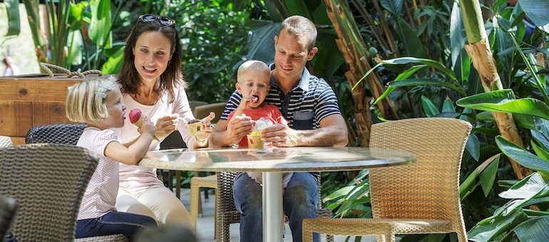 La famille des boissons - La Table des Enfants