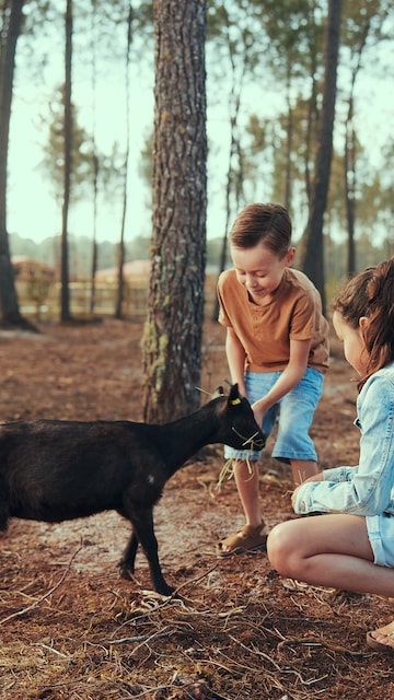 Activités enfants Het Meerdal