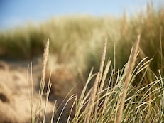 overviewDiscoverImg3