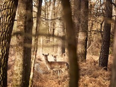 overviewDiscoverImg3