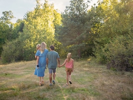 Nature Trail Les Bois-Francs
