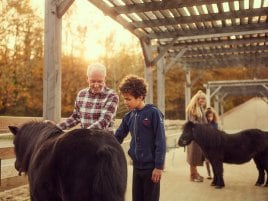 Pony ride Les Hauts de Bruyères