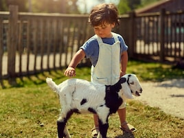The Children's Farm Les Hauts de Bruyères