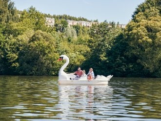 Swan pedal boat Parc Sandur