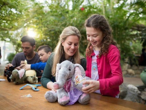 Kids Workshop : Fabrique ta peluche de rêve Bispinger Heide