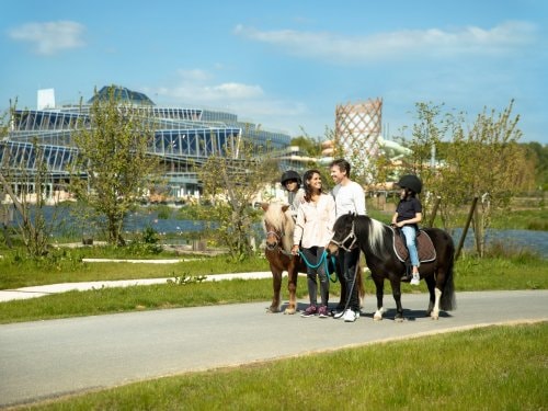 Ponyreiten außerhalb des Parks Port Zélande