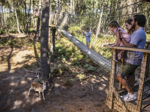 Dierenpark Le Bois aux Daims