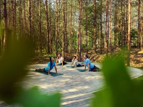 Workshop healthy exercise: yoga for beginners Terhills Resort