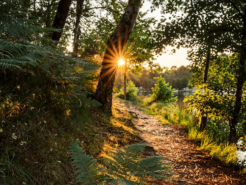 Nature Trail De Vossemeren