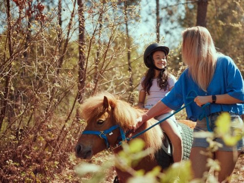 Pony ride Bispinger Heide