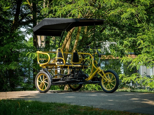 E-Rickshaw Nordborg Resort