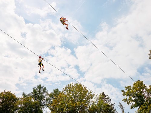 Zip Wire, exhilarating cable-lift Bispinger Heide