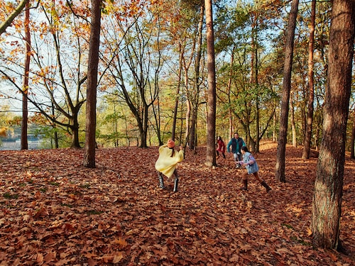 Herfst Speurtocht Het Meerdal