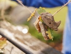 Workshop: Vogelvoederketting Bispinger Heide