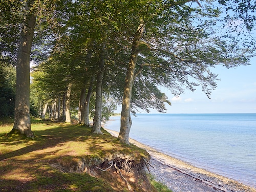 Træklatring i Nørreskoven Nordborg Resort