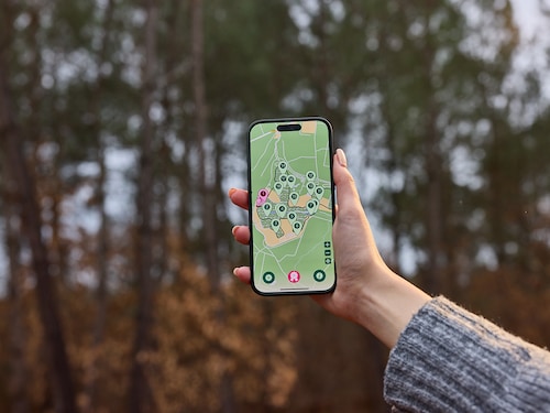 Digital Winter Wonders Nature Discovery Port Zélande