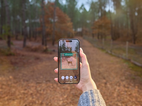 Digital Autumn Colours Nature Discovery Les Landes de Gascogne