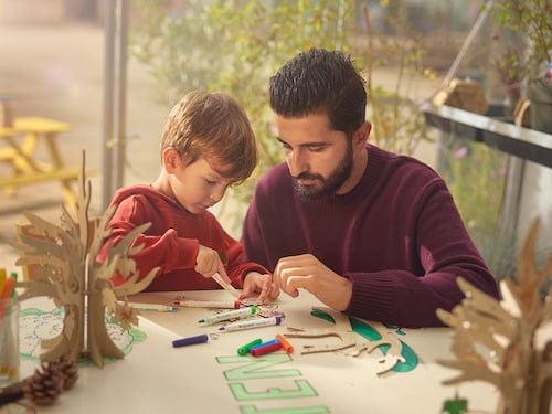 Workshop: Herfstboom Het Meerdal