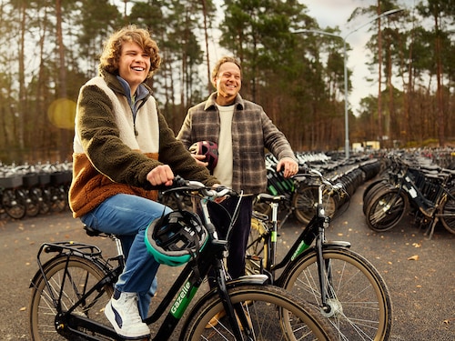 Cycling Bispinger Heide