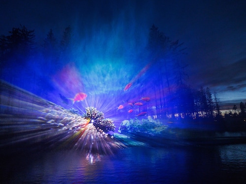 Light Up De Vossemeren