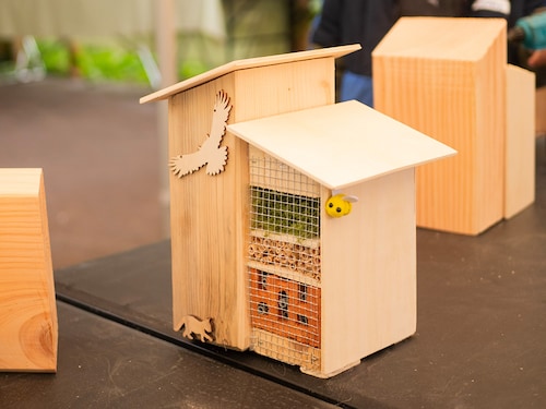 Build Bat House Bispinger Heide