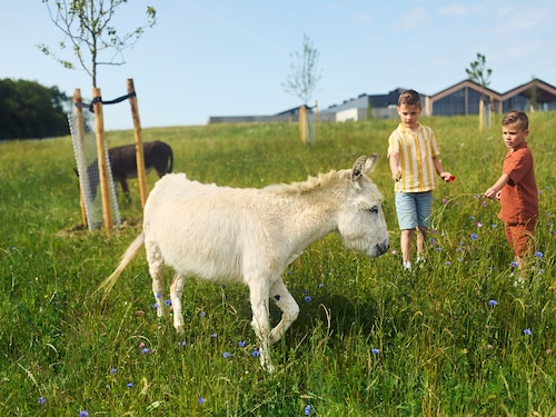 Kids Farm Nordborg Resort