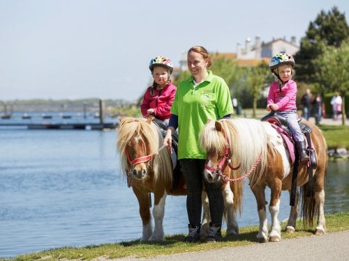 Pony Riding across the park Port Zélande