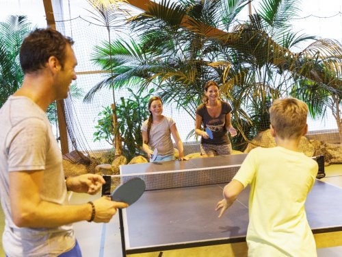 Tischtennis (drinnen & draußen) Park Eifel
