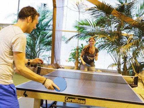 Ping pong (indoor) Park De Haan