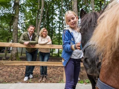 Mon Poney Les Bois-Francs