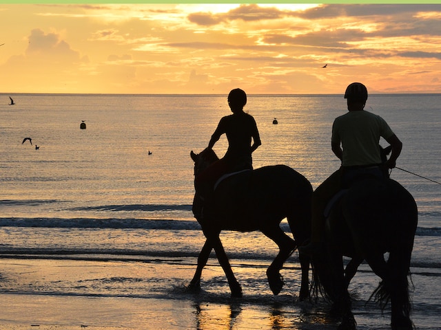 Plage à cheval