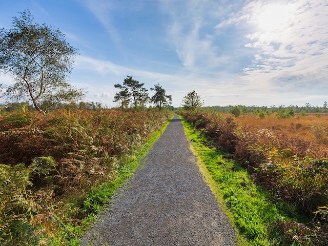 Parc national De Grote PeelHet Meerdal