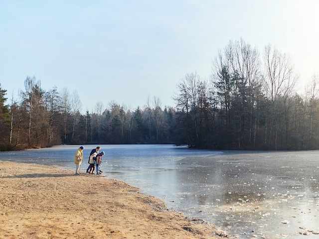 Bispinger Heide