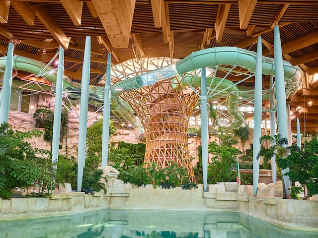 Ferienhaus in Bailly-Romainvilliers (Frankreich) und 2 Hunde erlaubt