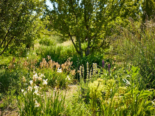 Regionaal natuurpark AvesnoisLe Lac d'Ailette