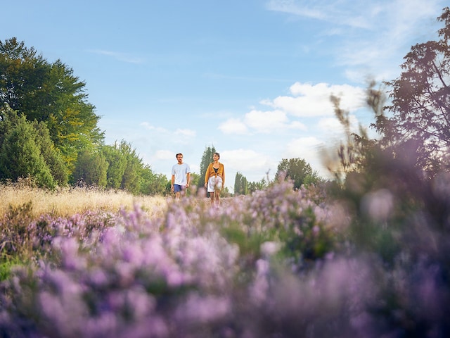 Nationaal Park MaasduinenLimburgse Peel