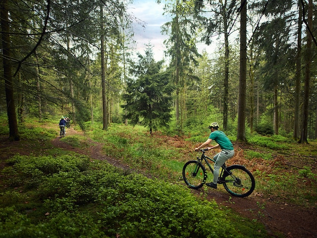 Naturpark Hohes VennLes Ardennes