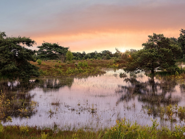 Natuurgebied De Plateaux-Hageven