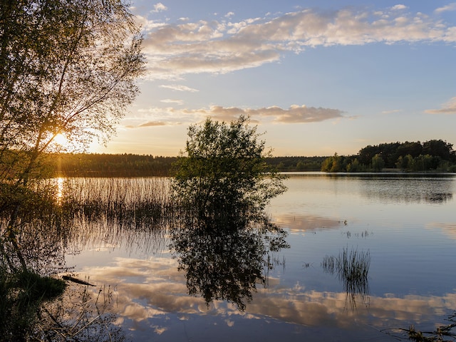 Regionaal Natuurpark Loire-Anjou-TouraineLe Bois aux Daims