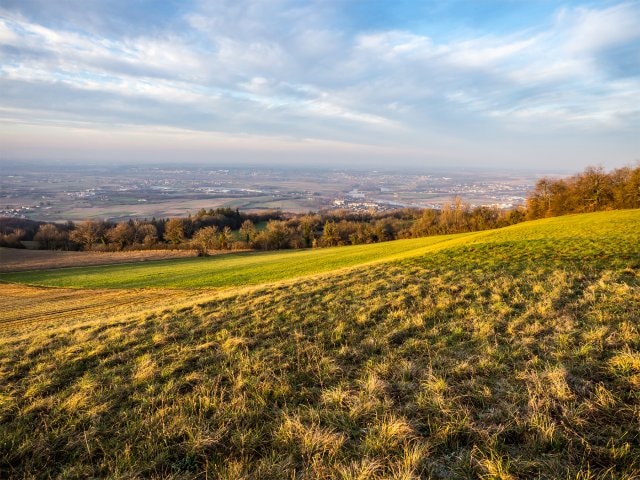 Parc naturel régional du PercheLes Bois-Francs